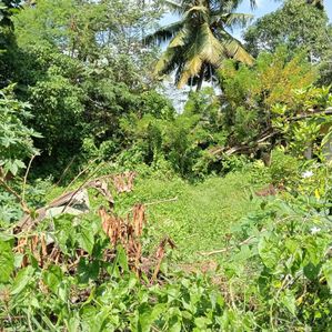 Land for Sale – Katubedda - Image 3