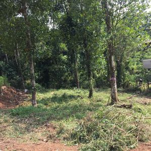 Land for Sale Kandy Menikhinna - Image 2