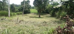 Land for sale in Malabe with Stunning Paddy Views