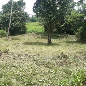 Land for sale in Malabe with Stunning Paddy Views - Image 2