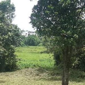 Land for sale in Malabe with Stunning Paddy Views - Image 3