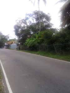 Commercial Land for Sale in Piliyandala