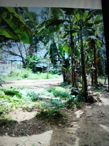 Land for Sale Kiribathgoda