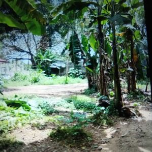 Land for Sale Kiribathgoda - Image 2