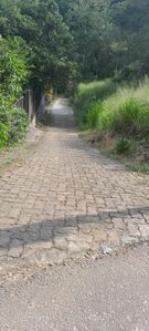Land for Sale in Elpitiya