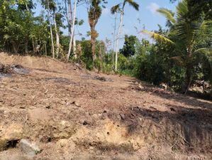Land for Sale ඇල්පිටිය