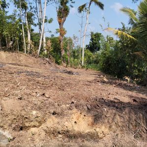 Land for Sale ඇල්පිටිය - Image 2