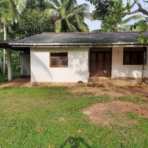 Land for Sale with House in Weliweriya - Image 2