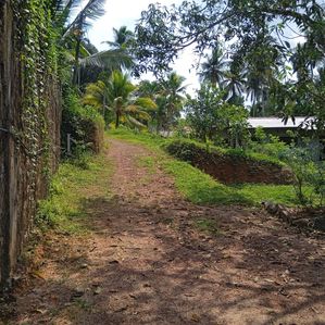 Land for Sale with House in Weliweriya - Image 3