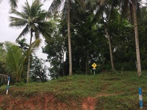 Land Sale - Primelands Kiribathkumbura- Peradeniya
