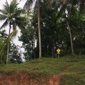 Land Sale - Primelands Kiribathkumbura- Peradeniya - Image 2