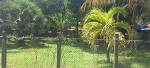 Bare Land for Sale in Kurunegala