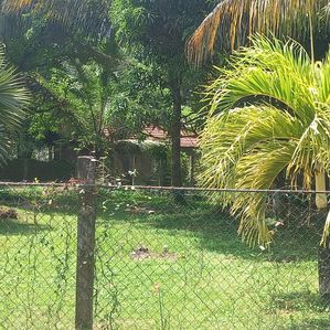 Bare Land for Sale in Kurunegala - Image 2