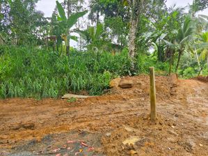 Land for Sale - Mada Keembiya