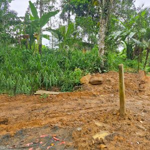 Land for Sale - Mada Keembiya - Image 2