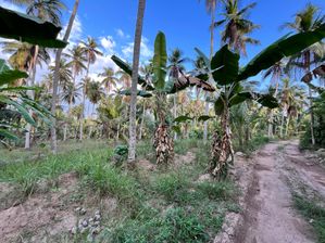 Land for Sale in Maradagahamula