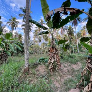 Land for Sale in Maradagahamula - Image 3