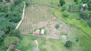 Land for Sale in Habarana