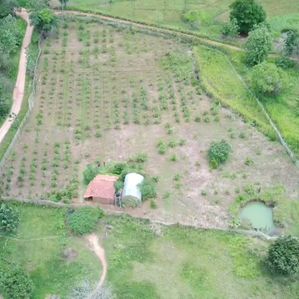 Land for Sale in Habarana - Image 2
