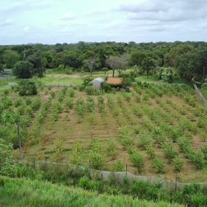 Land for Sale in Habarana - Image 3