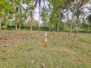 Land for Sale in Kuliyapitiya