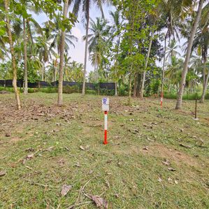 Land for Sale in Kuliyapitiya - Image 2