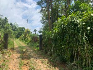 Land for Sale in Nawalapitiya
