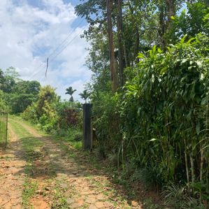 Land for Sale in Nawalapitiya - Image 2