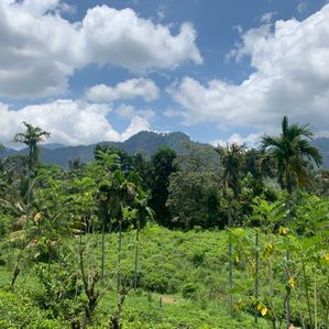 Land for Sale in Nawalapitiya - Image 3