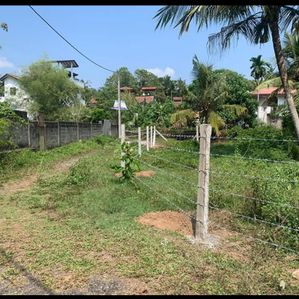 මහර, නුවර පාරට මීටර් 200ක් දුරින් ඉඩමක් විකිණීමට ඇත. (ID: MAHR001S) - Image 3