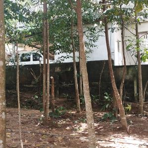 Land for Sale Horana - Image 2