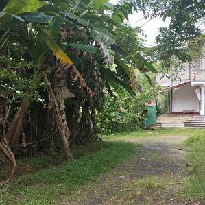 Land for Sale Horana - Image 3