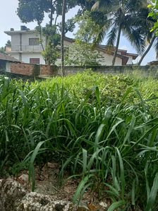 Land for Sale - Kandy