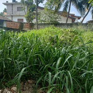 Land for Sale - Kandy - Image 2