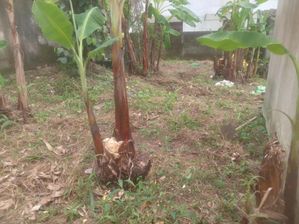 Land for Sale Kiribathgoda