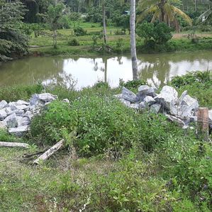 Land for Sale in Kaluthara city - Image 2