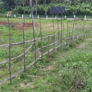 Land for Sale in Kaluthara city - Image 3