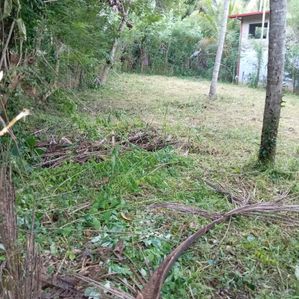 Residential Land for Sale in Rambukkana - Image 2