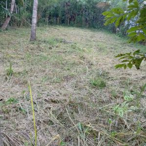 Residential Land for Sale in Rambukkana - Image 3