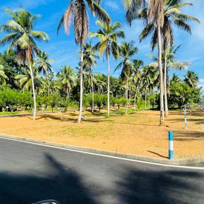 Homagama Beruketiya land for sale - Image 2