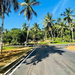 Homagama Beruketiya land for sale - Image 3