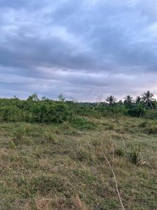 Prime 5-Acre Land for Sale in Bandaragama (EM009LI)