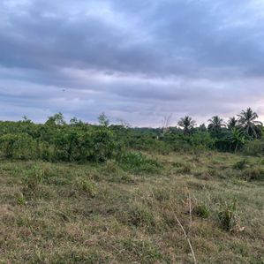 Prime 5-Acre Land for Sale in Bandaragama (EM009LI) - Image 2