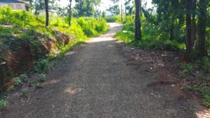 Valuable Lands for sale in Nelumdeniya