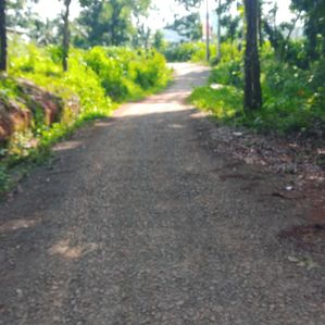 Valuable Lands for sale in Nelumdeniya - Image 2