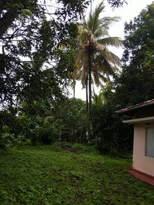Beliaththa Land with House for Sale