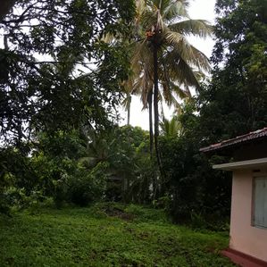 Beliaththa Land with House for Sale - Image 2