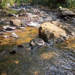 දැරණියගලින් සුන්දර වටිනා අක්කර 08 තේ ඉඩම විකිනීමට ඇත - Image 3