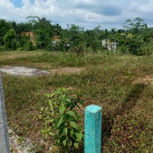 Land for Sale in Waga Pinnawala - Image 2