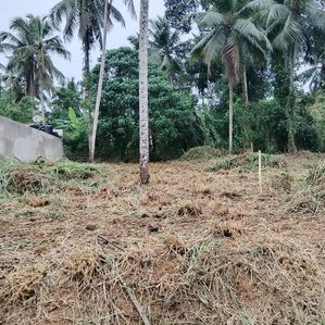 Land for Sale කිරිඳිවැල - Image 3